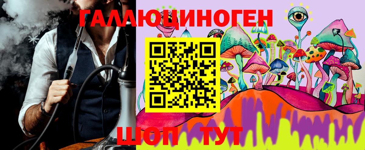 Гусиноозёрск  Галлюциногенные грибы Psilocybine cubensis  Вход с VPN 