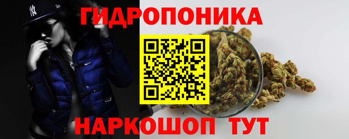 Шишки марихуана сатива  Вход с VPN  Конопля конопля  Бошки Шишки MAZAR  Шишки марихуана марихуана  Гусиноозёрск 